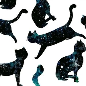 Meet your Posher, Belle